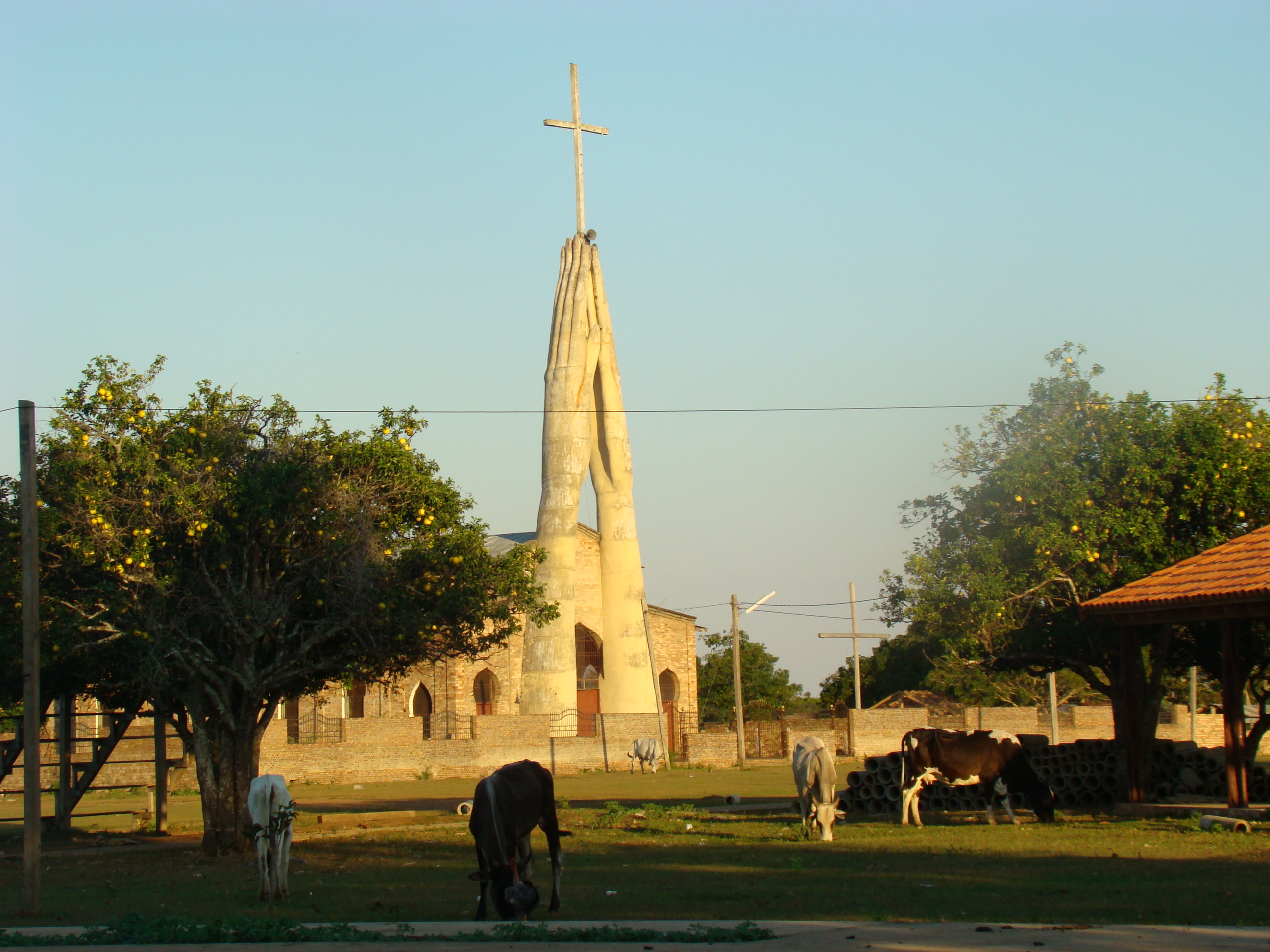 La Asociación